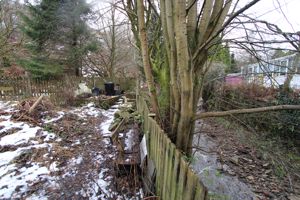 Photo 7- click for photo gallery